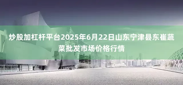 炒股加杠杆平台2025年6月22日山东宁津县东崔蔬菜批发市场价格行情
