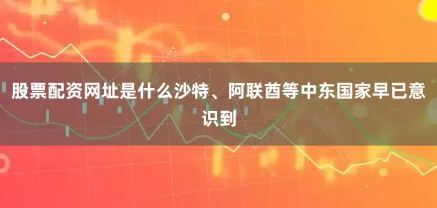 股票配资网址是什么沙特、阿联酋等中东国家早已意识到