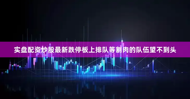 实盘配资炒股最新跌停板上排队等割肉的队伍望不到头