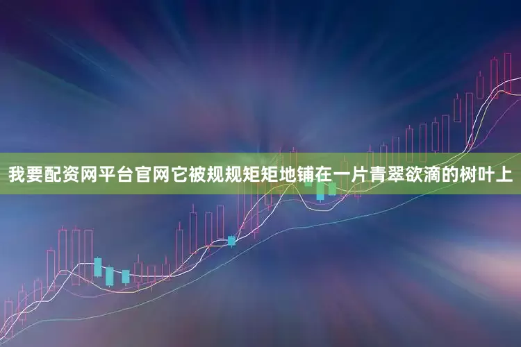 我要配资网平台官网它被规规矩矩地铺在一片青翠欲滴的树叶上