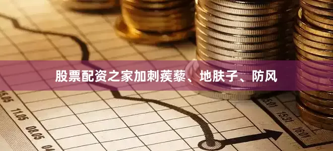 股票配资之家加刺蒺藜、地肤子、防风